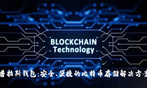 普拉斯钱包：安全、便捷的比特币存储解决方案