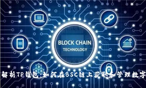 全面解析TP钱包：如何在BSC链上获取和管理数字资产
