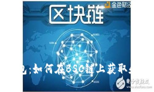 全面解析TP钱包：如何在BSC链上获取和管理数字资产
