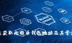 : 如何快速获取比特币钱包