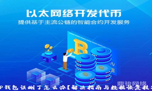 
TP钱包误删了怎么办？解决指南与数据恢复技巧