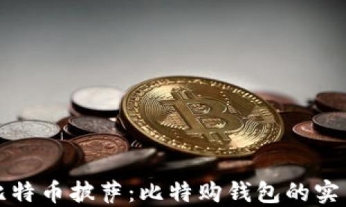 
揭秘比特币披萨：比特购钱包的实用指南