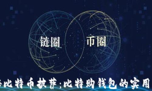 
揭秘比特币披萨：比特购钱包的实用指南