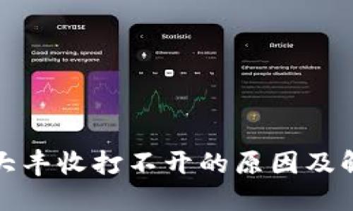 TP钱包大丰收打不开的原因及解决方案