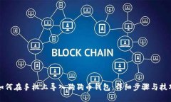 如何在手机上导入狗狗币钱包：详细步骤与技巧