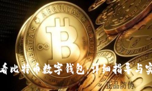 如何查看比特币数字钱包：详细指导与实用技巧