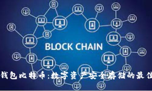 口袋钱包比特币：数字资产安全存储的最佳选择