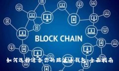 如何选择适合你的瑞波币钱包：全面指南