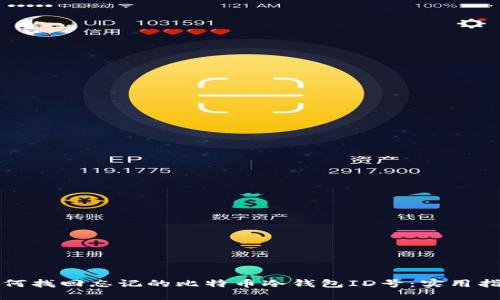 如何找回忘记的比特币冷钱包ID号：实用指南