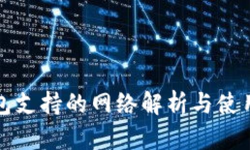 TP钱包支持的网络解析与使用指南