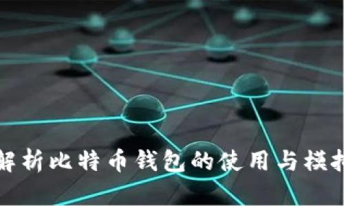 全面解析比特币钱包的使用与模拟操作