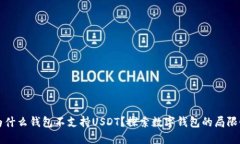 为什么钱包不支持USDT？探索数字钱包的局限性