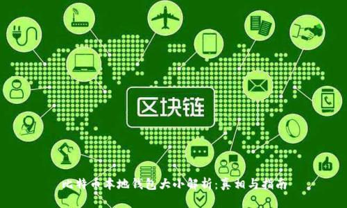 比特币本地钱包大小解析：真相与指南