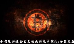 如何选择适合自己的比特儿币钱包：全面指南