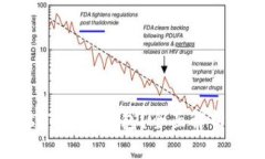 什么是Bus Token钱包？全面