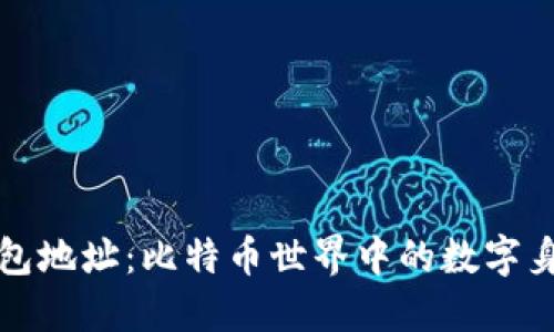 钱包地址：比特币世界中的数字身份