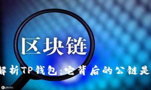 深入解析TP钱包：它背后的公链是什么？