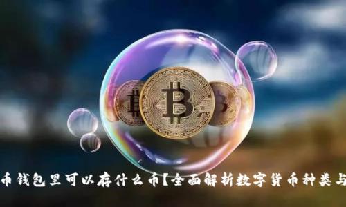 比特币钱包里可以存什么币？全面解析数字货币种类与选择