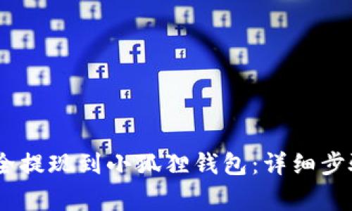 USDT如何安全提现到小狐狸钱包:详细步骤与注意事项