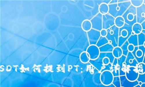 USDT如何提到PT:用户详解指南