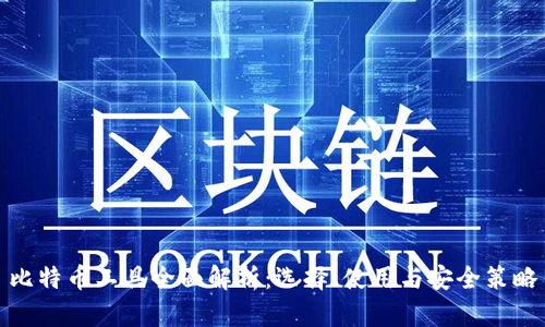 比特币工具全面解析:选择、使用与安全策略